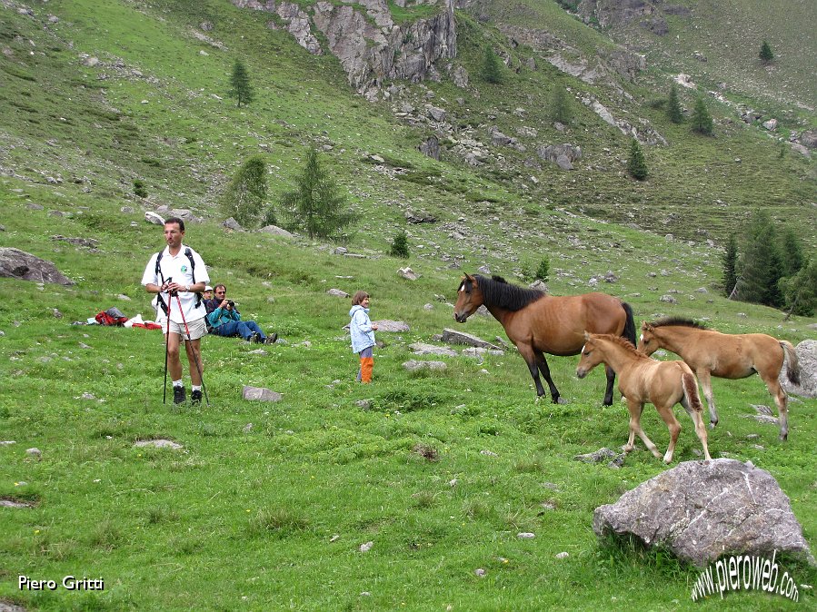 51 Alberto rientra dal Passo di Belviso.jpg